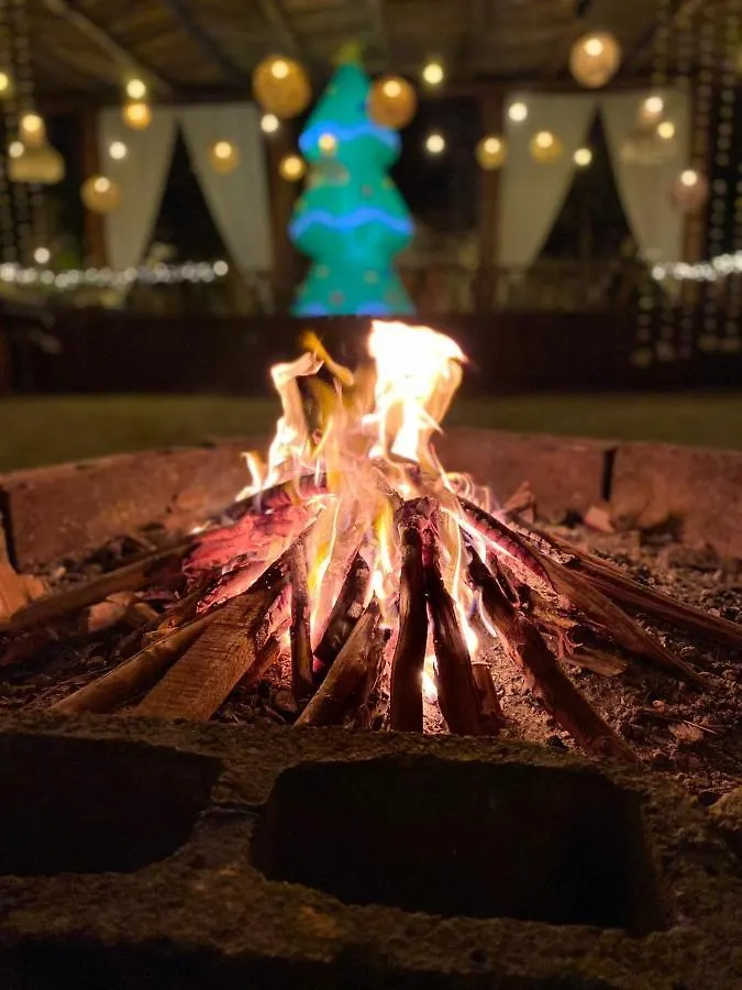 The All Inclusive Hostel - Food, Drinks And Transportation To The Beach And Cenotes Tulum Mexico
